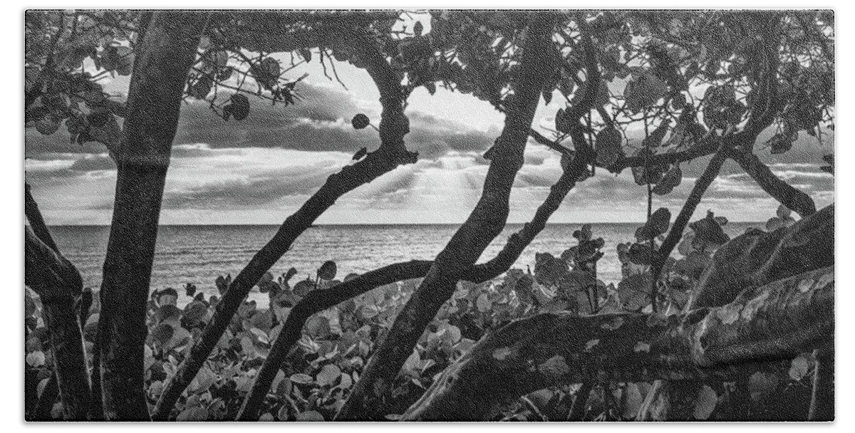 Beach Beach Towel featuring the photograph Ocean View Through Seagrape Trees BW by Laura Fasulo