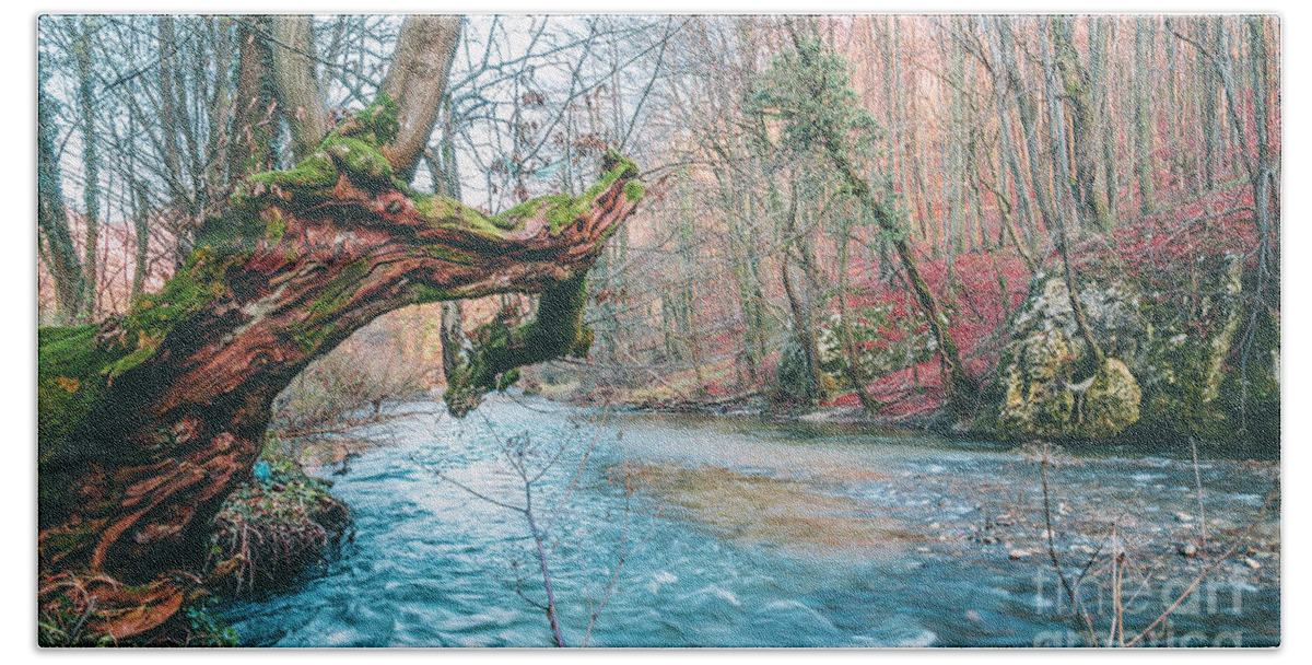 River Beach Towel featuring the photograph Old tree by Jelena Jovanovic