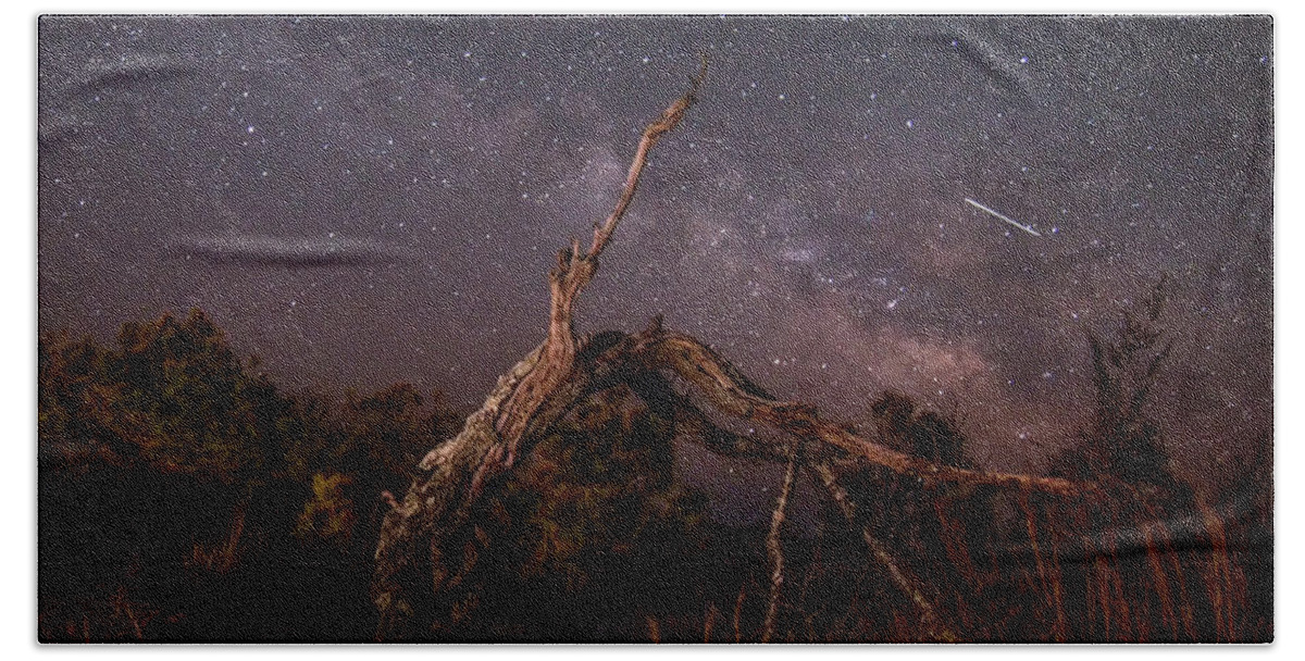 Assateague Island Beach Towel featuring the photograph Old Twisted Tree by Ken Fullerton