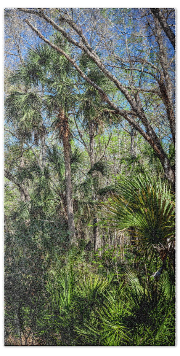 Florida Beach Towel featuring the photograph On a Florida Hike - 3 by W Chris Fooshee