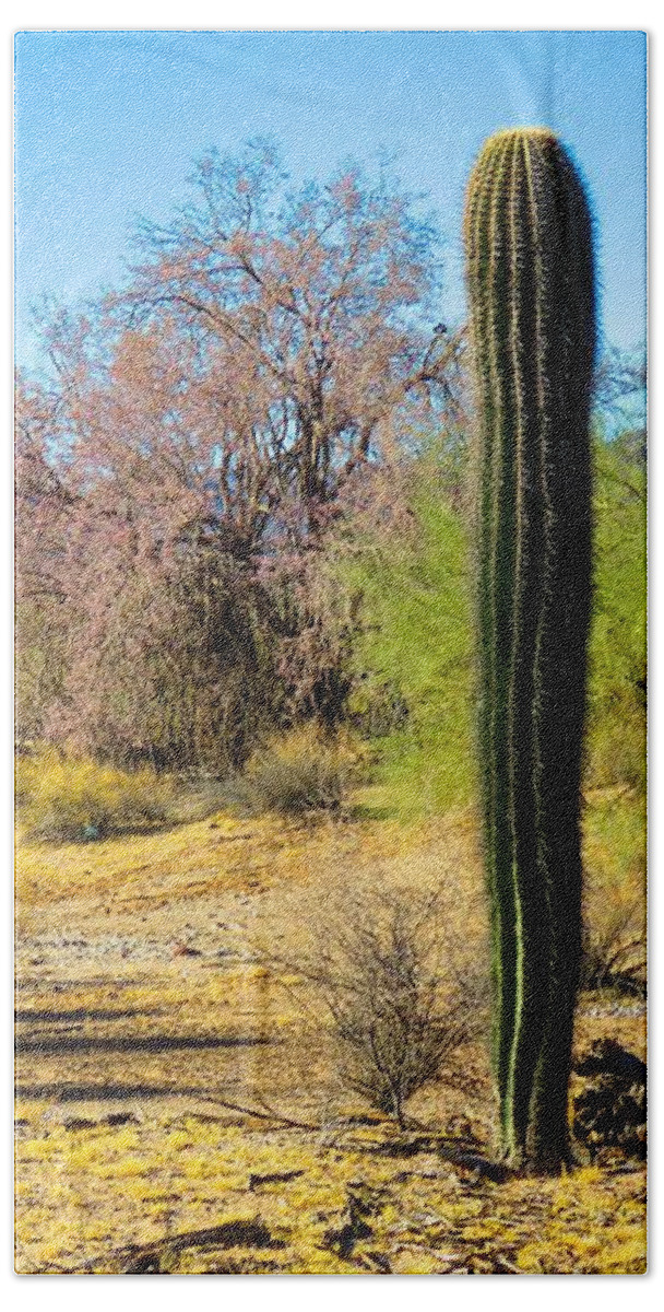 Arizona Beach Towel featuring the photograph On the Ironwood Trail by Judy Kennedy