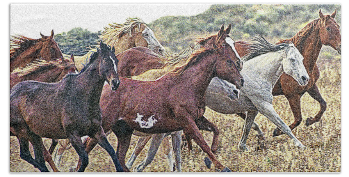 Horses Beach Towel featuring the photograph On The Run Color by Don Schimmel