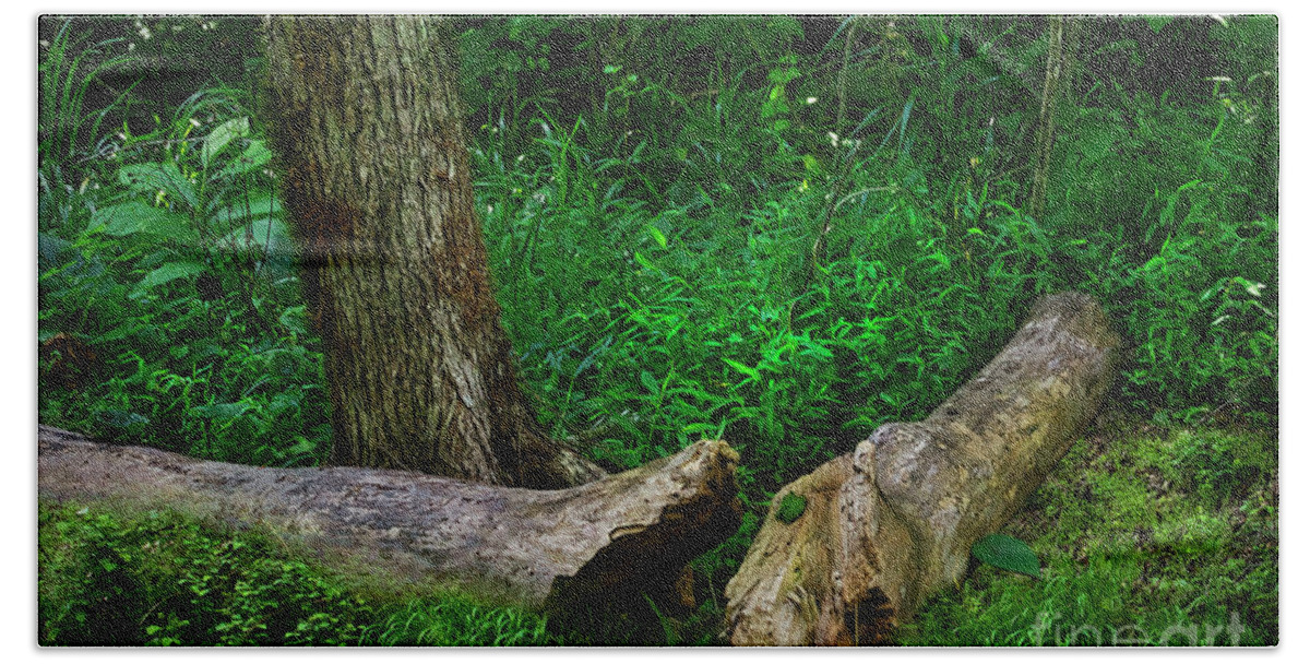 Log; Tree; Grass; Weed; Forest; Dense; Tennessee; Northeast Tennessee; Green Beach Towel featuring the photograph Oneness in Nature by Shelia Hunt