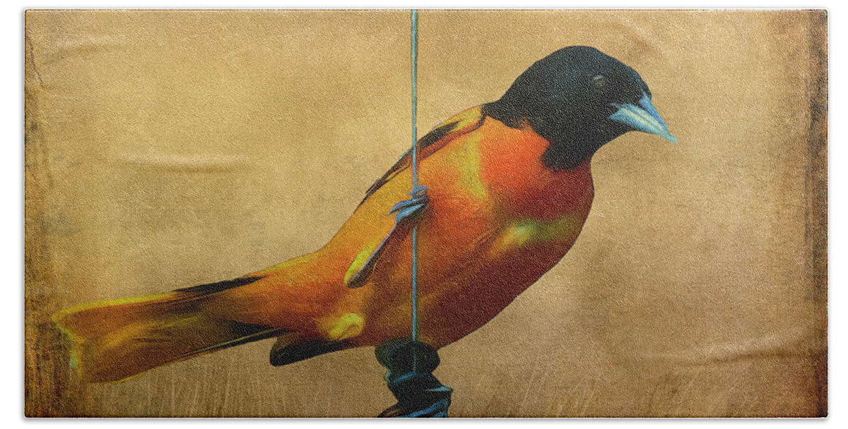 Songbird Beach Towel featuring the photograph Orange Bird by Cathy Kovarik