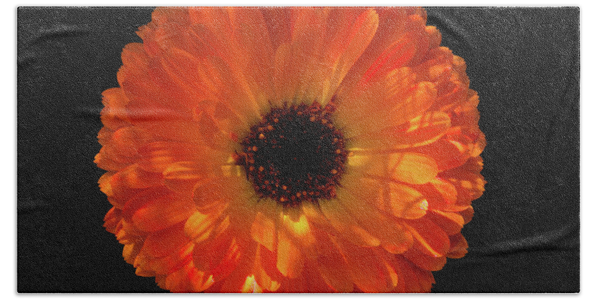 Beautiful Beach Towel featuring the digital art Orange Flower On Black by David Desautel