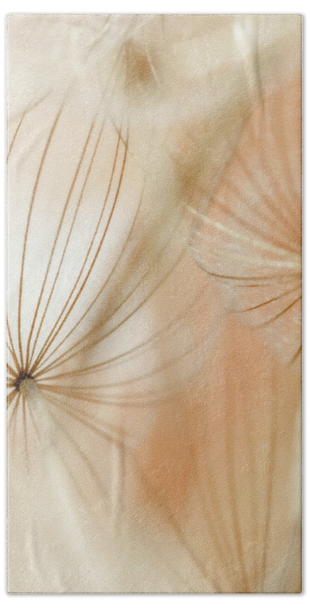 Dandelions Beach Towel featuring the photograph Orange Translucid by Iris Greenwell