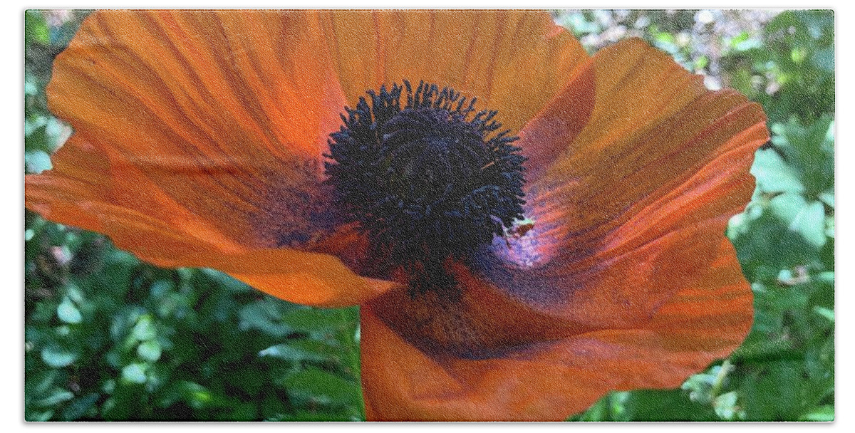 Poppy Flower Orange Beach Towel featuring the photograph Oriental Poppy by Rich Clewell