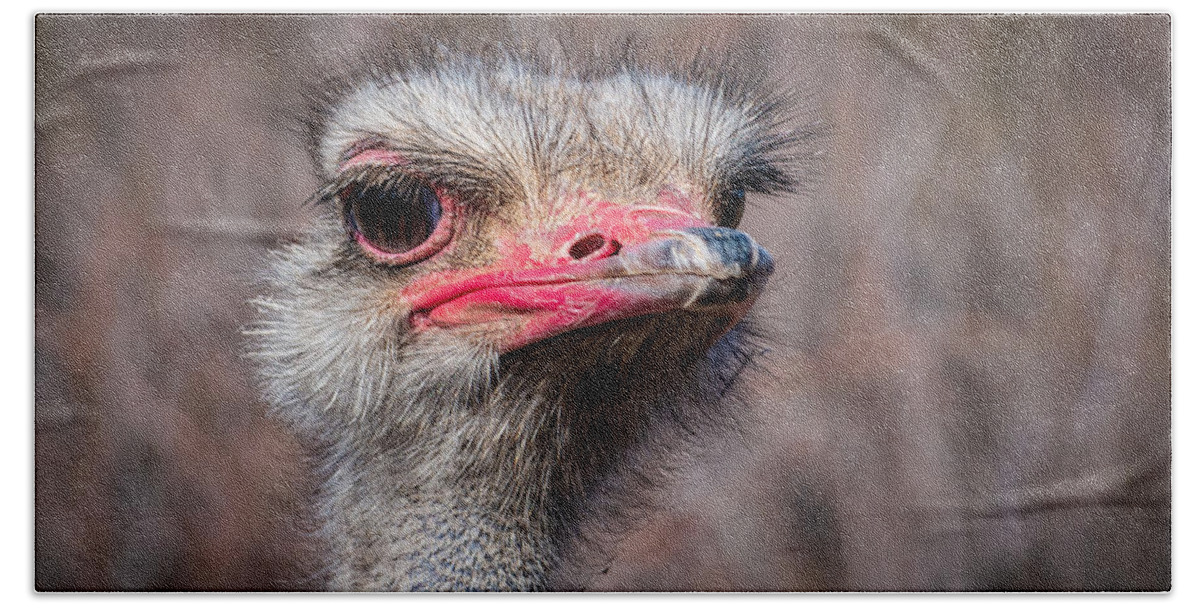 Ostrich Out Of Africa Fstop101 Beach Towel featuring the photograph Ostrich by Geno Lee