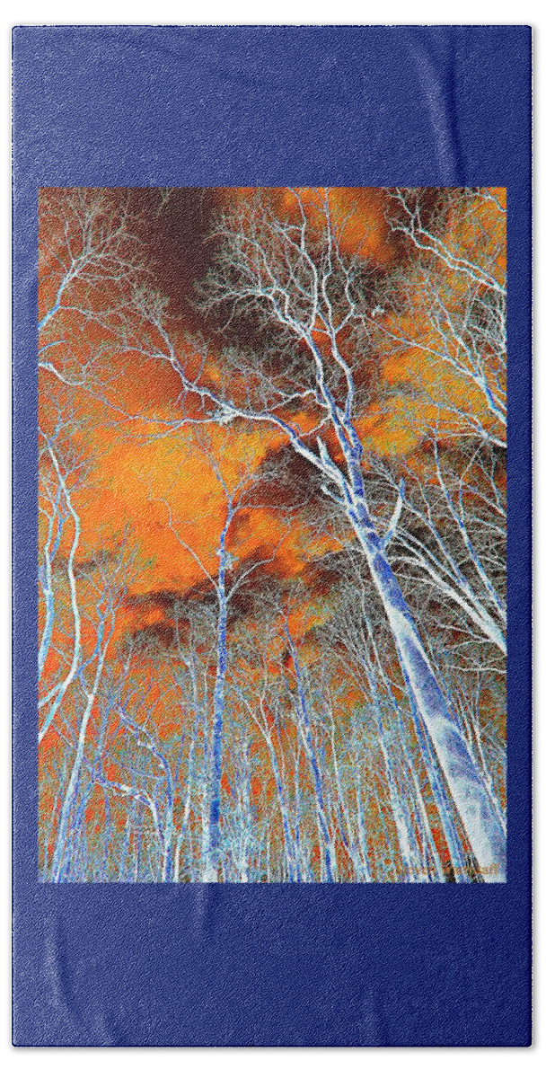 Trees Beach Towel featuring the photograph Outwordly by Steve Warnstaff