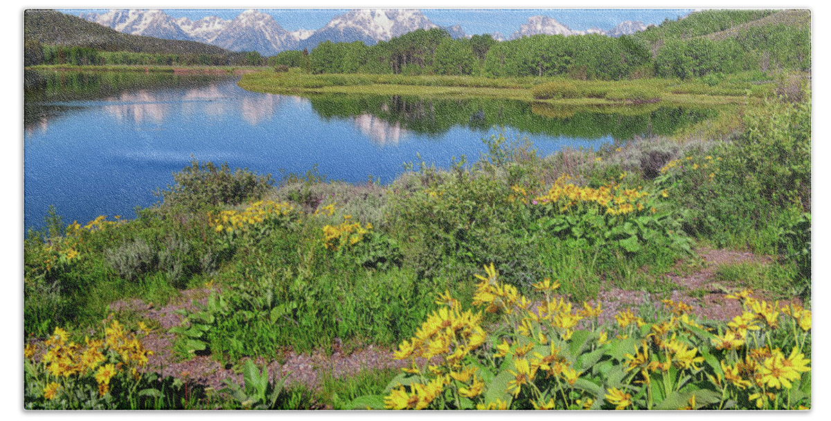 Oxbow Bend Beach Towel featuring the photograph Oxbow Spring by Greg Norrell