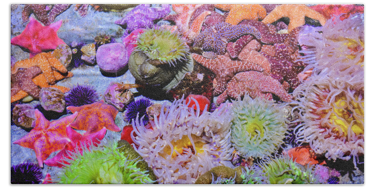 Pacific Ocean Beach Sheet featuring the photograph Pacific Ocean Reef by Kyle Hanson