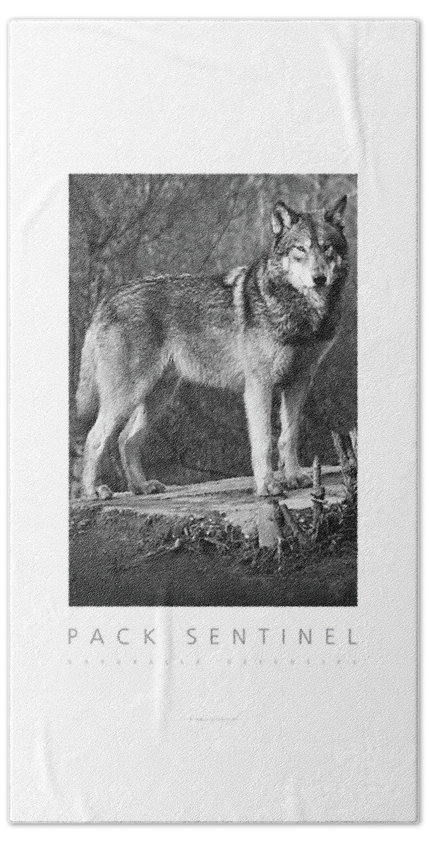 Wolf Beach Towel featuring the digital art Pack Sentinel Naturally Defensive Poster by David Davies