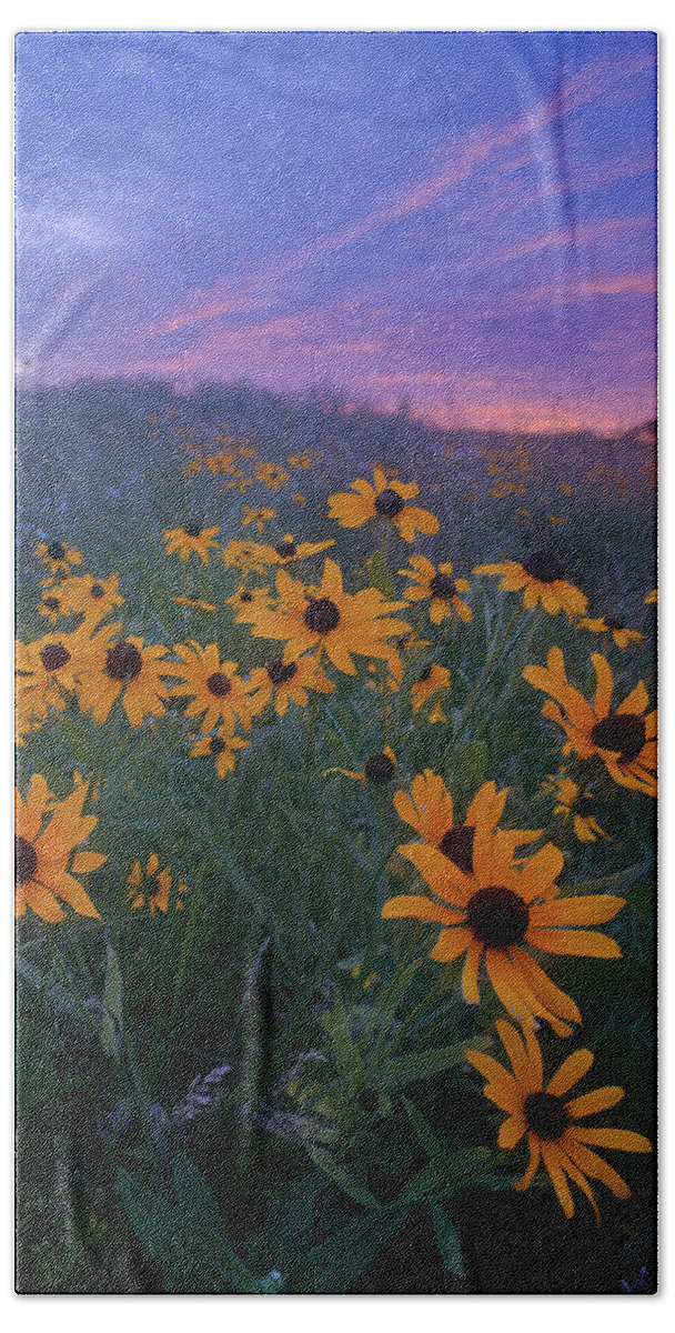 Conservation Area Beach Towel featuring the photograph Paintbrush Prairie III by Robert Charity