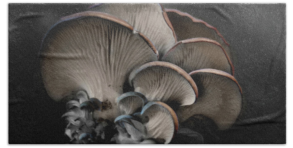 Paint Beach Towel featuring the photograph Painted Fungus by Wayne King