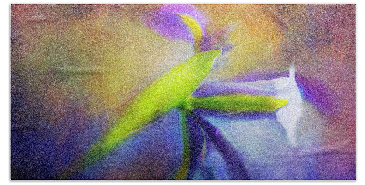 Iris Beach Towel featuring the photograph Painted Siberian Iris by Theresa Tahara