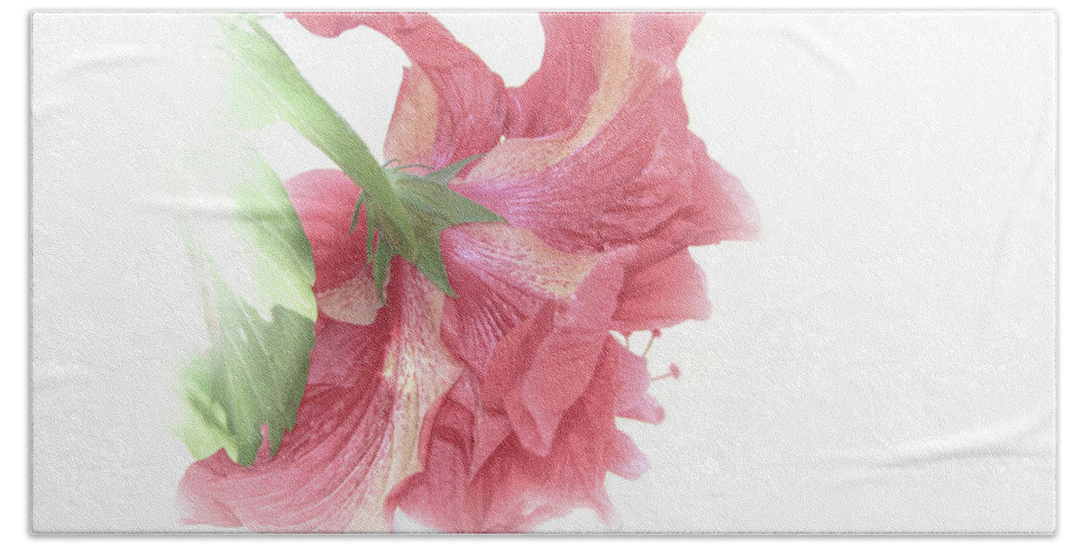 Shara Abel Beach Towel featuring the photograph Painterly Pink by Shara Abel
