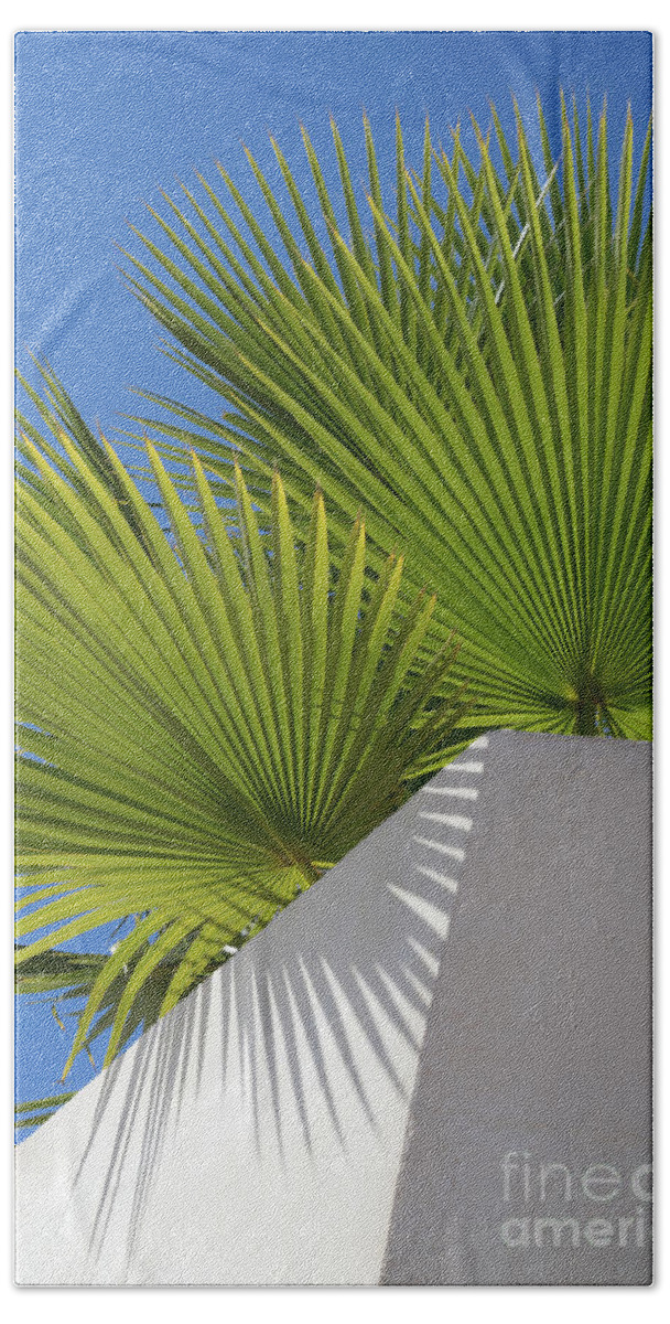 Palm Leaf Beach Towel featuring the photograph Green palm leaves, blue sky and white wall of a modern finca 1 by Adriana Mueller