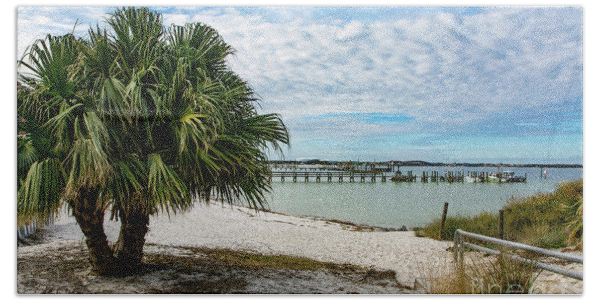 Palm Beach Towel featuring the photograph Palm Tree on Quietwater Beach by Beachtown Views