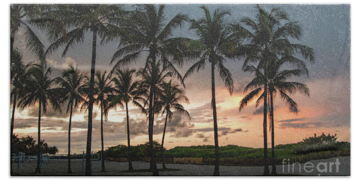 Sunset Beach Towel featuring the photograph Palm Tree Sunset, South Beach, Miami, Florida by Beachtown Views