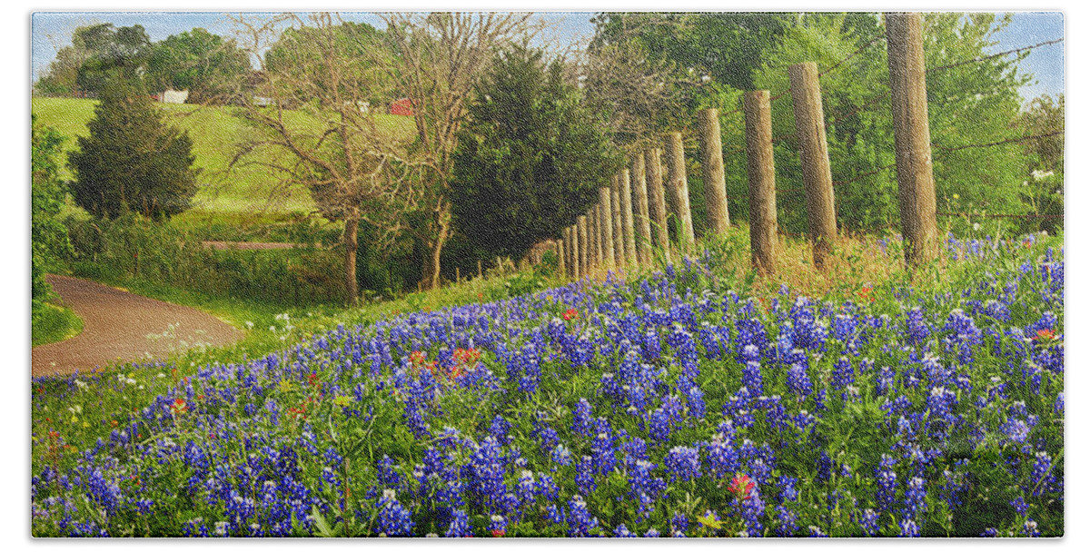 Landscape Beach Towel featuring the photograph Texas Spring #1 by Gerard Harrison