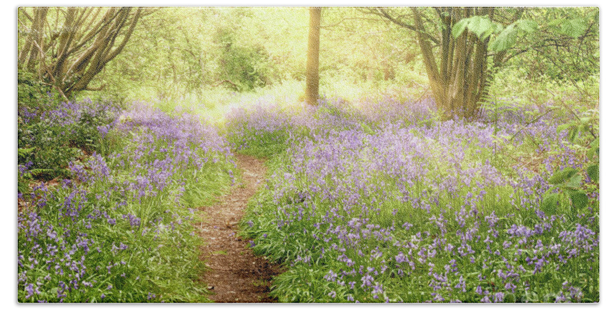 Bluebell Beach Towel featuring the photograph Path through bluebell forest at sunrise by Simon Bratt