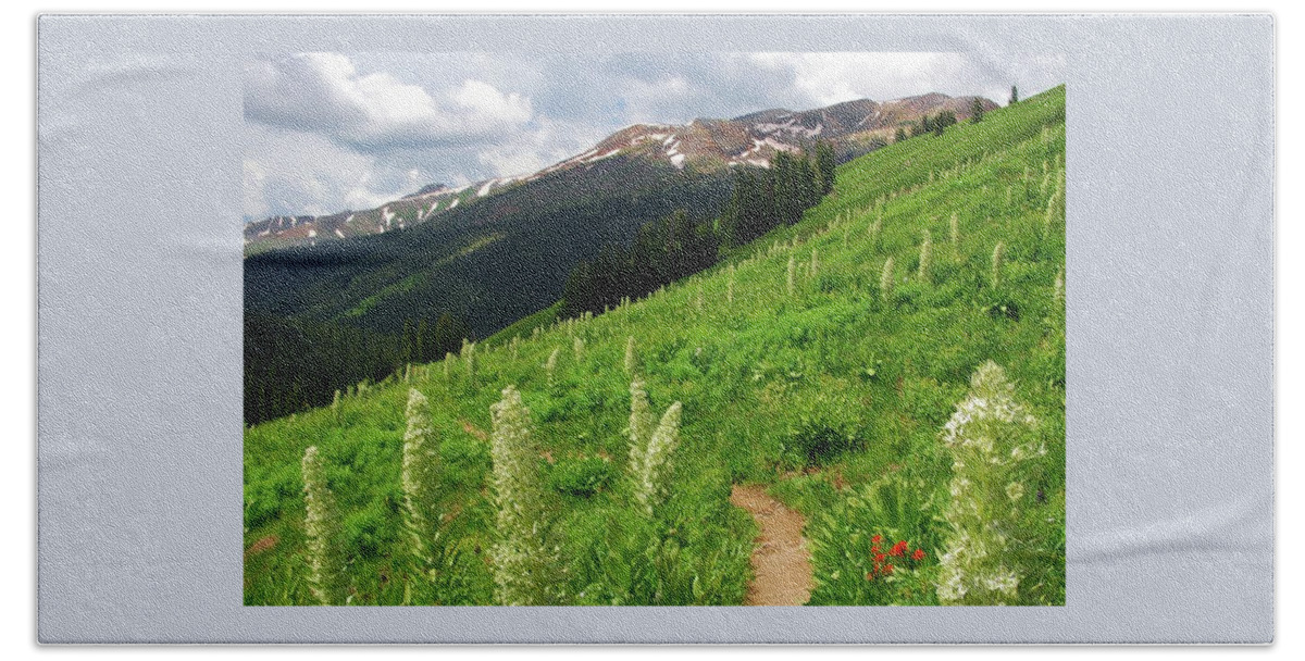 Monument Plant Beach Towel featuring the photograph Path through the Monument Plants by Cascade Colors