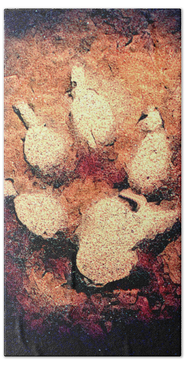 Pawprint Beach Towel featuring the photograph Paw Print burned sand by Cathy Anderson