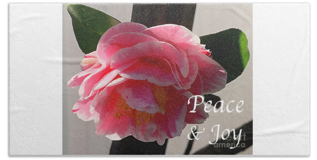 Floral Beach Towel featuring the digital art Peace and Joy - Pink And White Camellia Bloom by Kirt Tisdale
