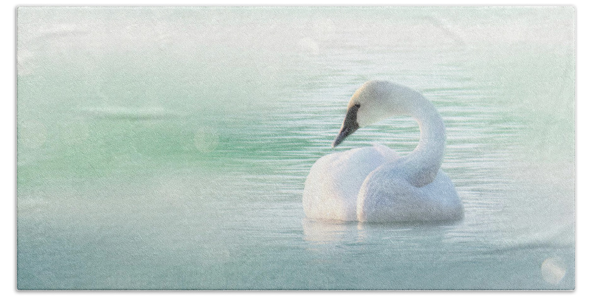 Swan Beach Towel featuring the photograph Peaceful Pastel Teal Morning Swan by Patti Deters