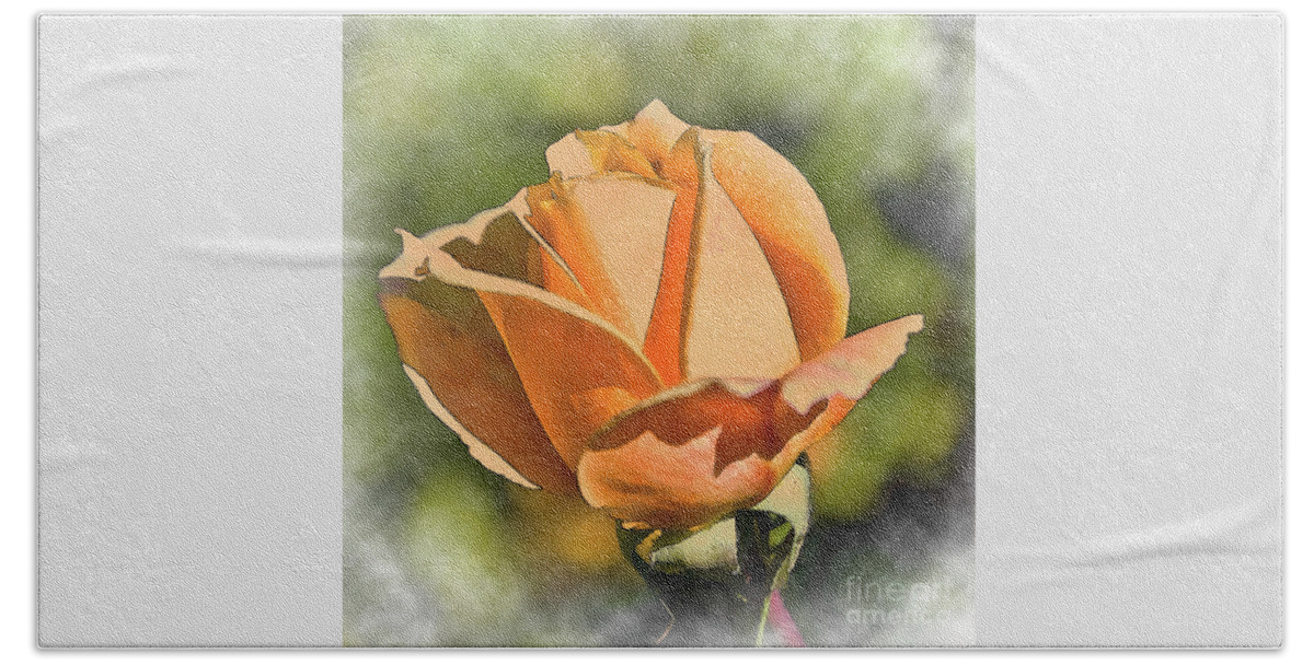 Rose-bud Beach Towel featuring the digital art Peach Rose Bud In Watercolor by Kirt Tisdale