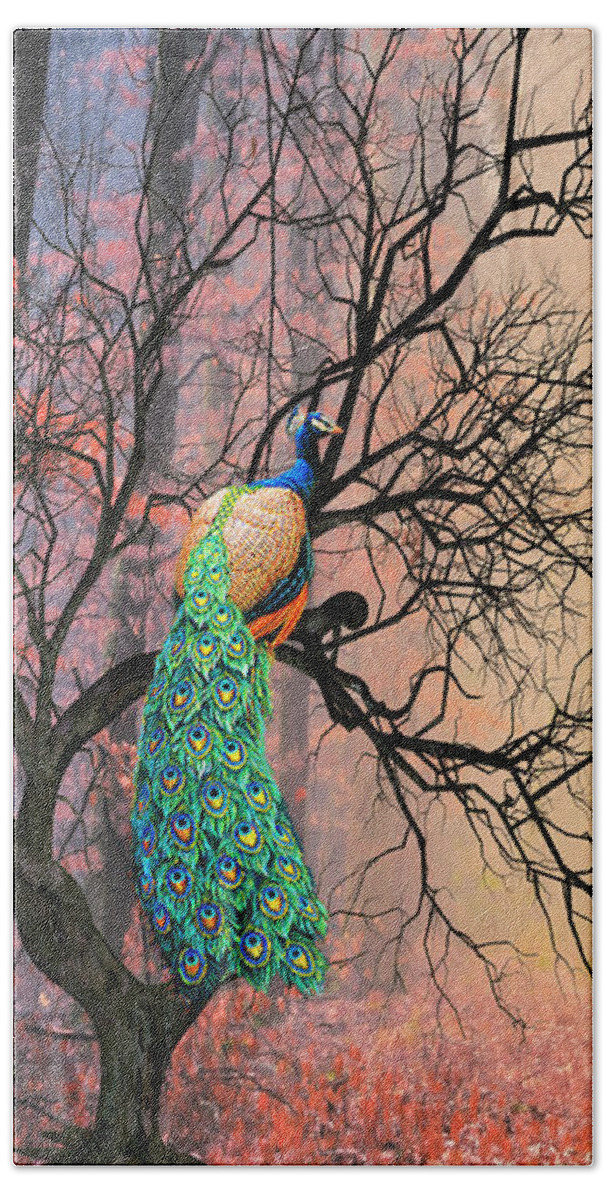 Autumn Beach Towel featuring the mixed media Peacock in the Fall by Morag Bates