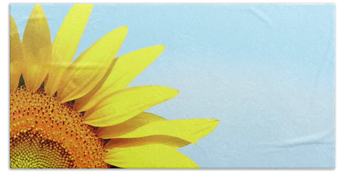 Sunflower Beach Towel featuring the photograph Peek by Lens Art Photography By Larry Trager