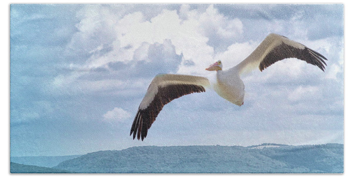 American White Pelican Beach Towel featuring the photograph Pelican In Flight by Annette Hugen