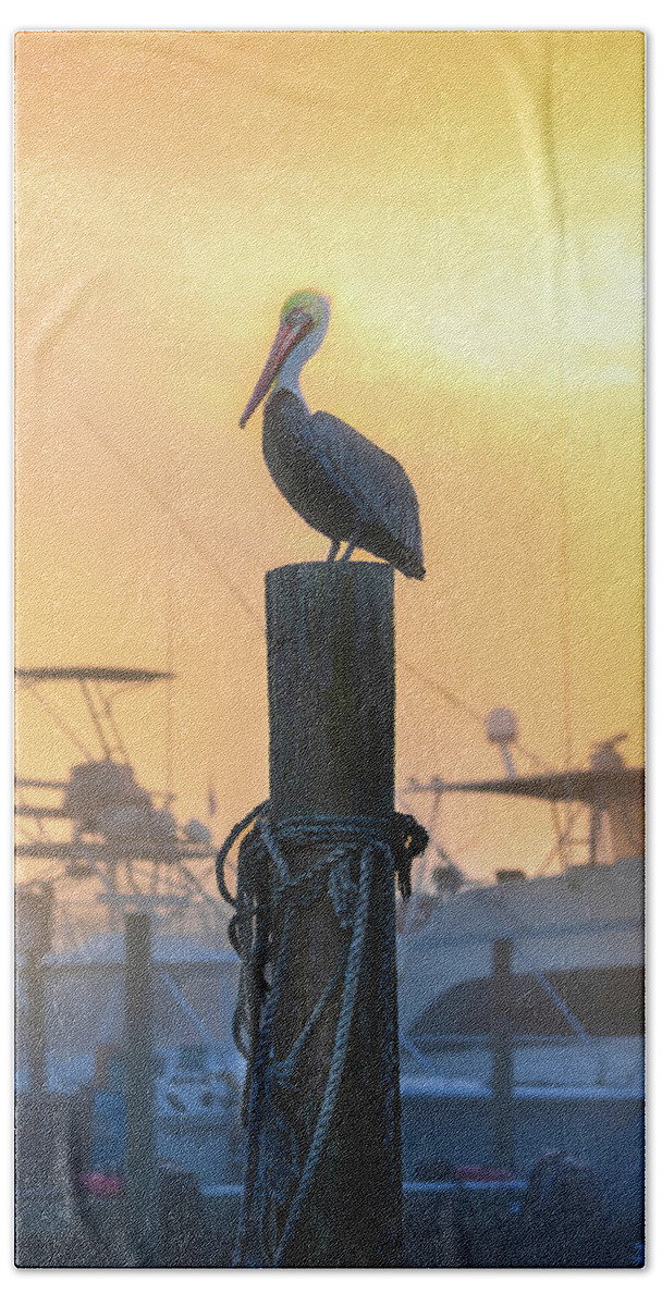 Beach Beach Towel featuring the photograph Pelican In Florida's Destin Harbor by Jordan Hill