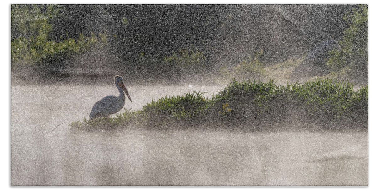 Bird Beach Towel featuring the photograph Pelican in the Mist by Alicia Glassmeyer