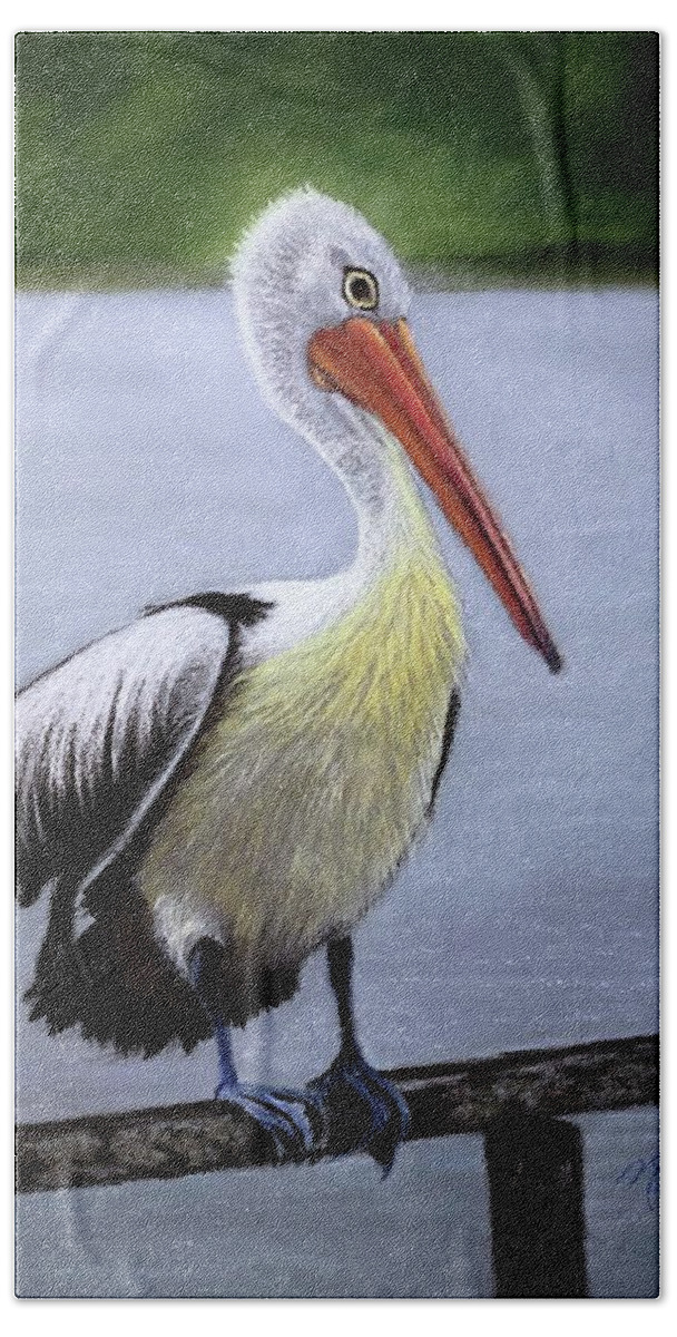 Pelican Beach Towel featuring the drawing Pelican by Marlene Little