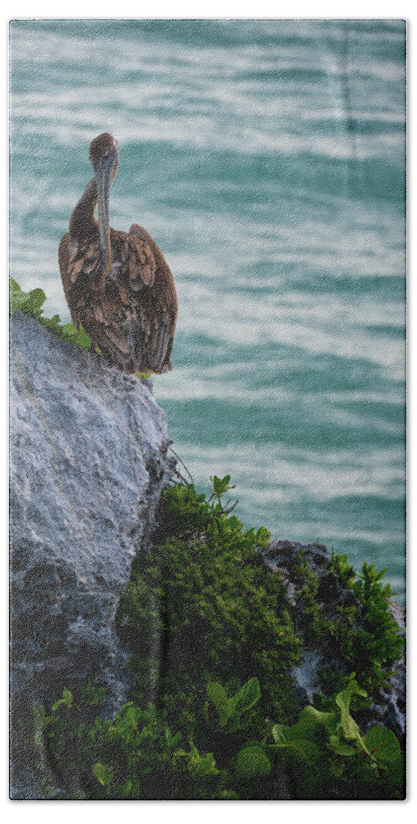 Pelican Beach Towel featuring the photograph Pelican's Perch by Alicia Glassmeyer
