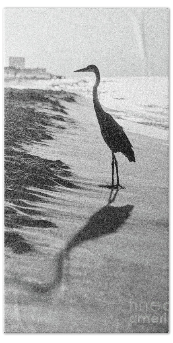 2018 Beach Towel featuring the photograph Pensacola Beach Florida Heron Black and White Photo by Paul Velgos