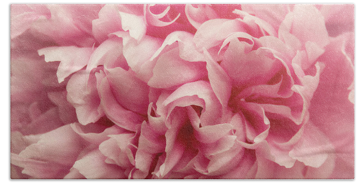 Peony Beach Towel featuring the photograph Peony by Tricia Louque