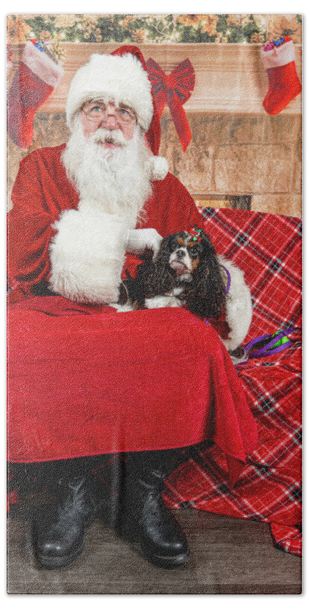 Peppermint Beach Towel featuring the photograph Peppermint with Santa 1 by Christopher Holmes