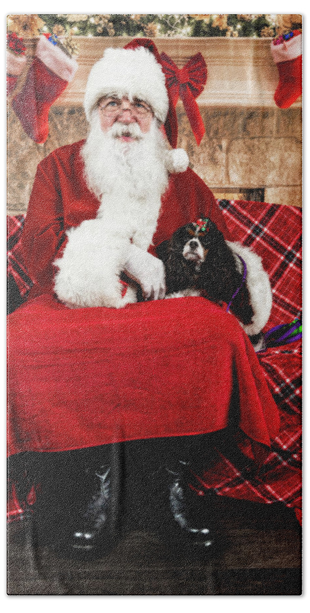 Peppermint Beach Towel featuring the photograph Peppermint with Santa 2 by Christopher Holmes