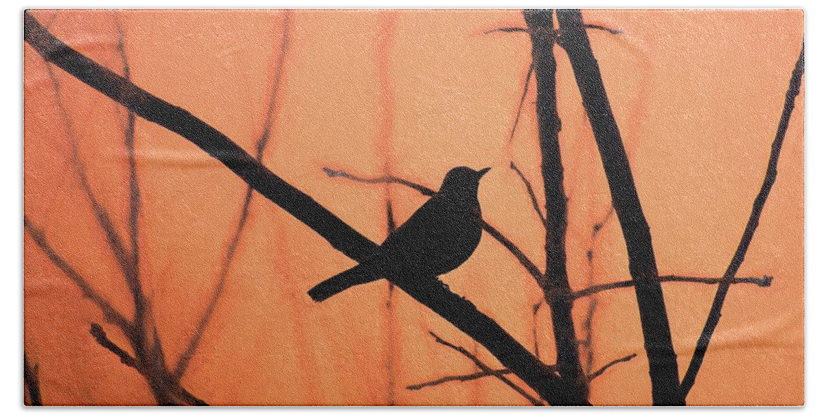 Bird Beach Towel featuring the photograph Perched Silhouette Orange by Jason Fink