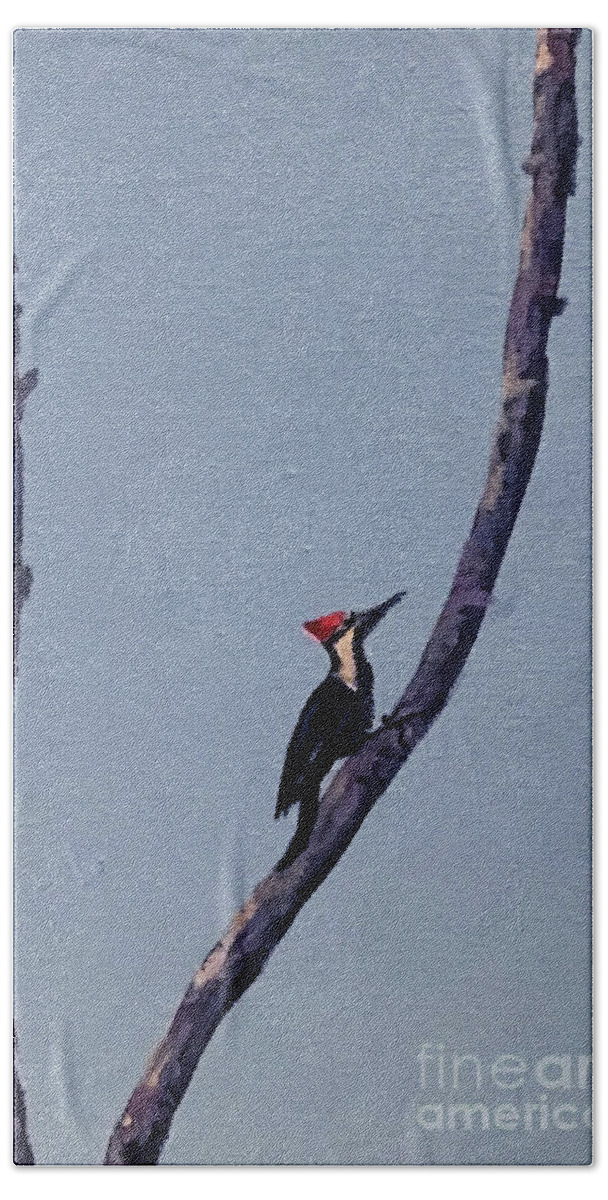 Woodpecker Beach Towel featuring the painting Pileated Woodpecker by Anne Marie Brown