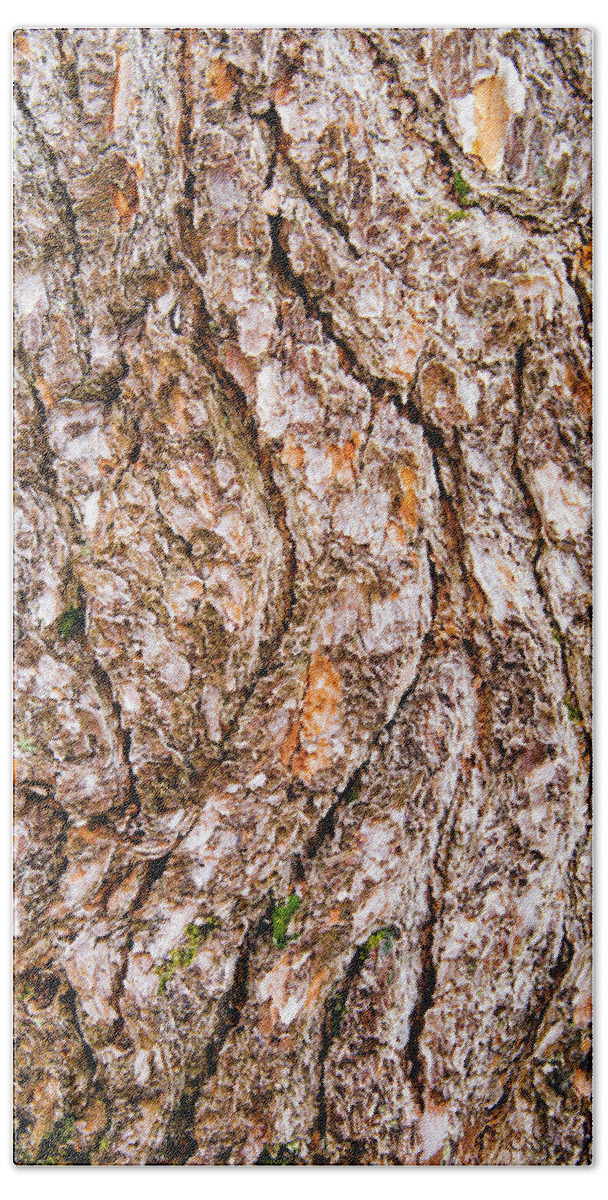 Pine Bark Beach Towel featuring the photograph Pine Bark Abstract by Christina Rollo