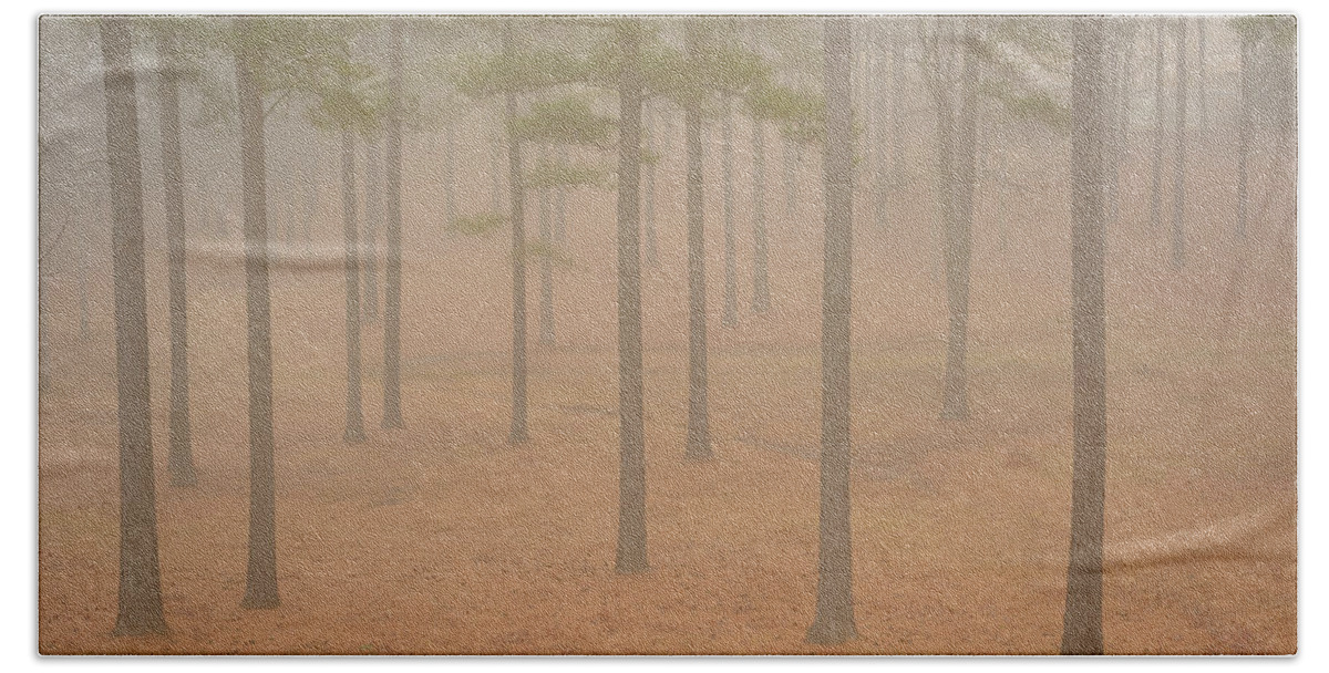 Mcdowell County Beach Towel featuring the photograph Pine Grove in the Fog by Joni Eskridge