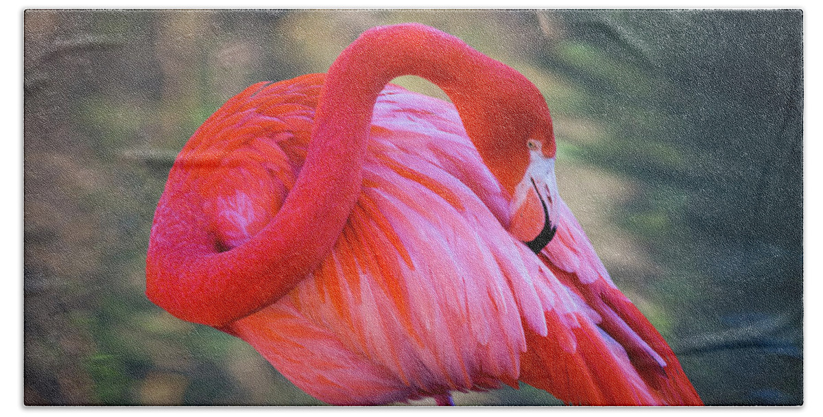 Flamingo Beach Towel featuring the photograph Pink Flamingo by Erin Marie Davis