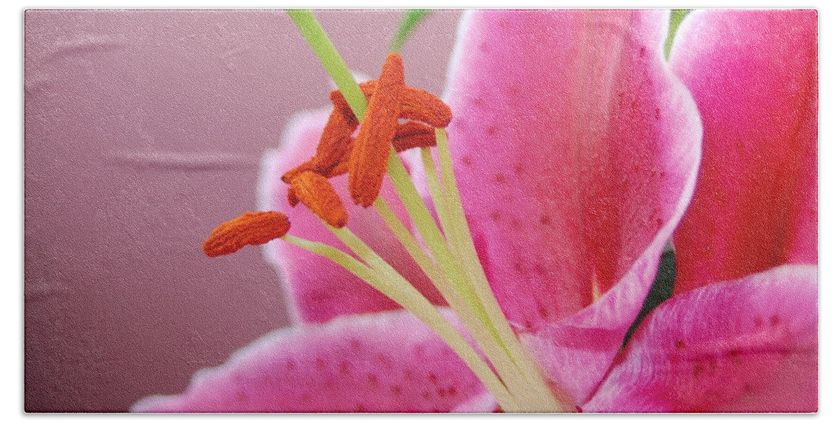 Lily Beach Towel featuring the photograph Pink Lily 4 by Amy Fose