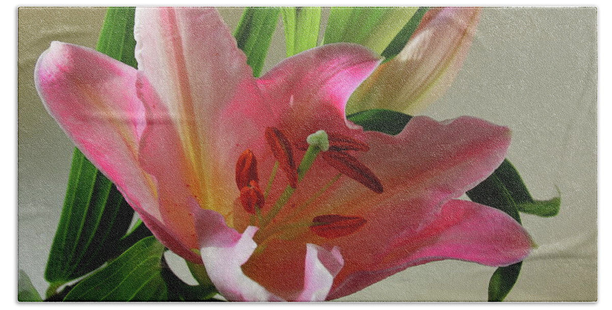 Lily Beach Towel featuring the photograph Pink Lily with Buds by Jeff Townsend