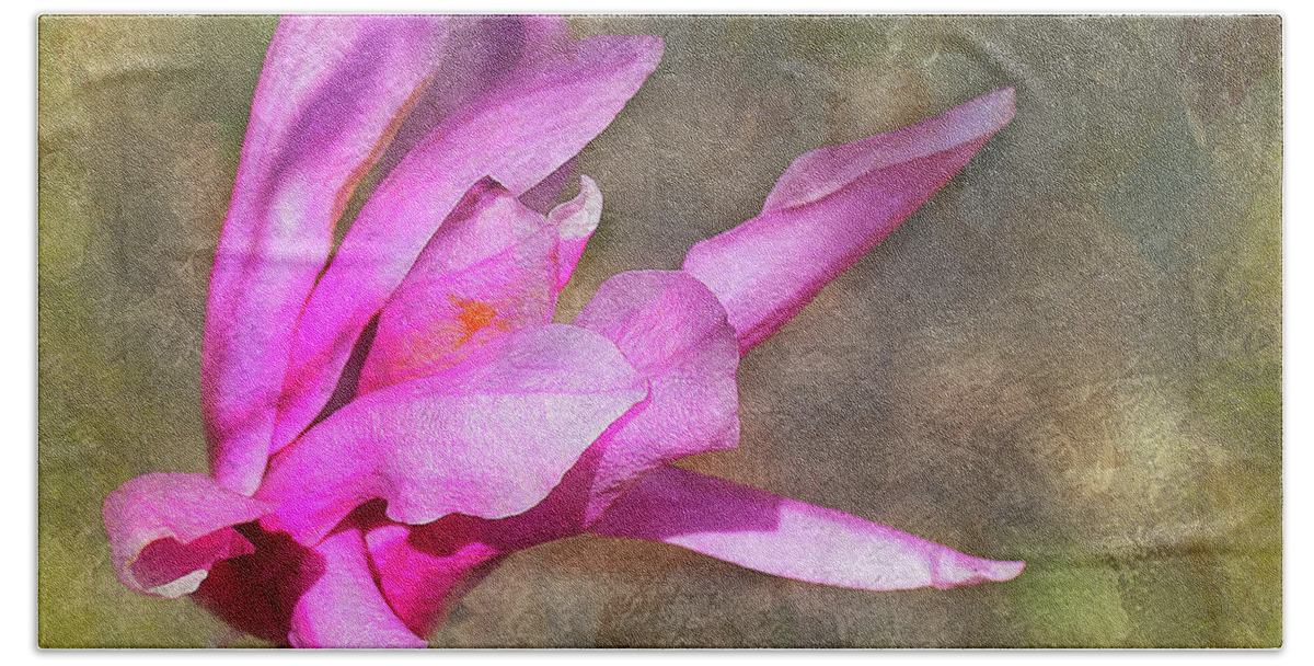Magnolia Beach Towel featuring the photograph Pink Magnolia 3 by Judi Bagwell
