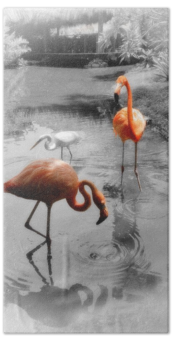 Bird Beach Towel featuring the photograph Pink Orange Flamingo Photo 211 by Lucie Dumas